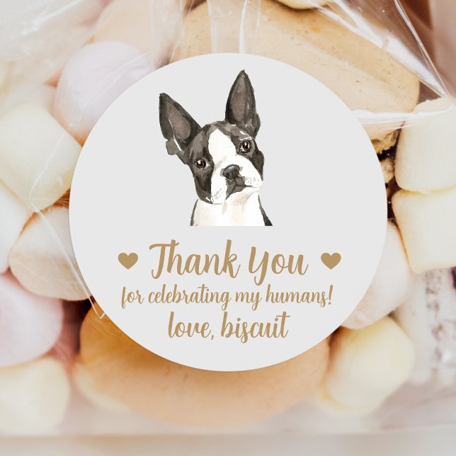 Custom Boston Terrier Dog Wedding Favour Stickers (Creator Uploaded)