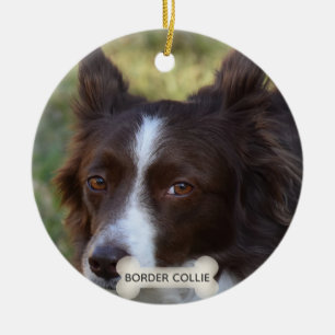 Custom Brown Border Collie Dog Photo Ceramic Tree Decoration