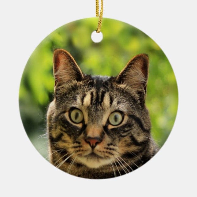 Custom Brown Tabby Cat Photo Ceramic Tree Decoration (Front)