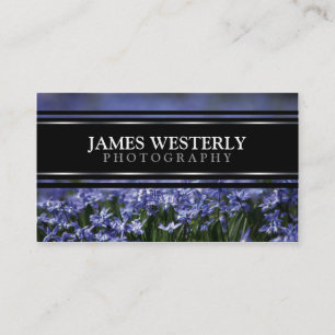 Custom Business Cards For Photographers