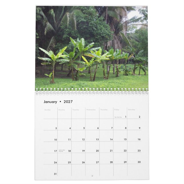 Custom Calendar featuring scenes from Belise. (Jan 2027)