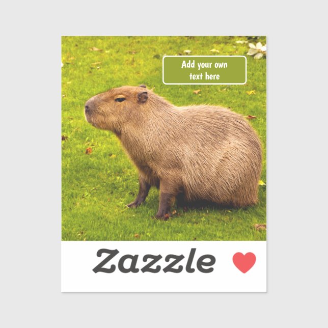 Custom Capybara (Sheet)
