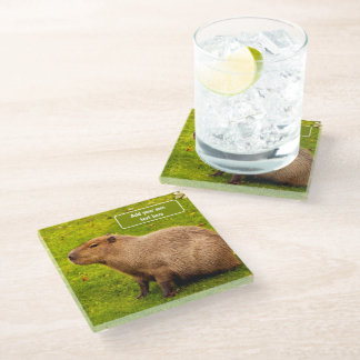 Custom Capybara Glass Coaster