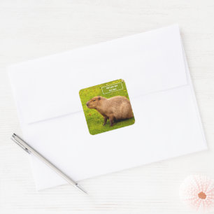 Custom Capybara Square Sticker