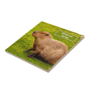 Custom Capybara Tile