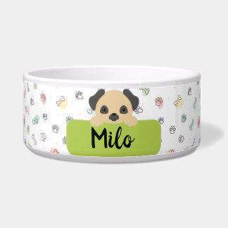 Custom Cartoon Pet Bowl with Dog's Name