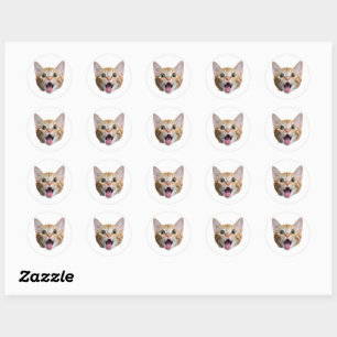 Custom Cat Face Stickers Personalized Face Photo