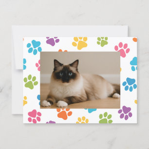 Custom Cat Lover Postcard with Photo 