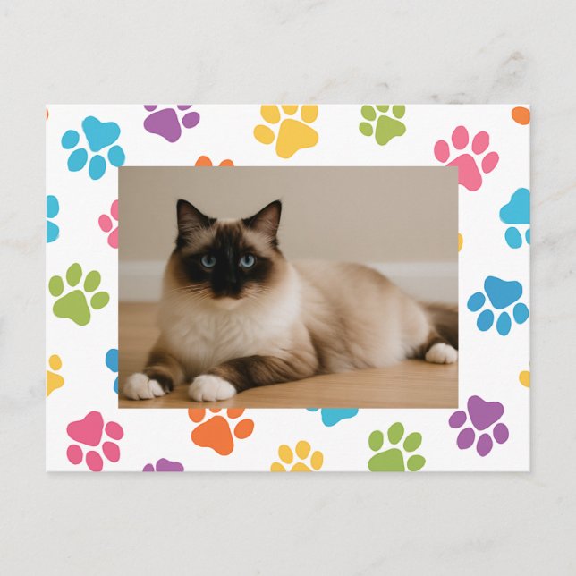 Custom Cat Lover Postcard with Photo  (Front)