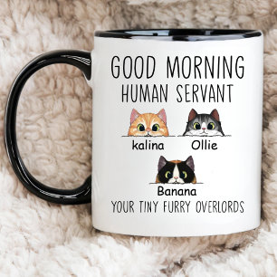 Custom Cat Owner,  Good Morning Cat Human Servant Mug