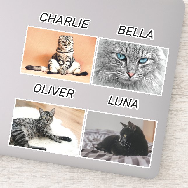 Custom Cat Photo and Cat Name Personalised Pet  (Detail)