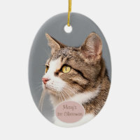 Custom Cat photo pet ornament