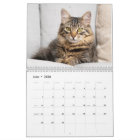 Custom Cat Photos Elegant Simple Minimal 2027