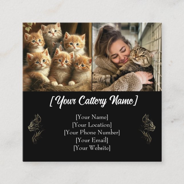 Custom Cattery Business Card with Photos & QR Code (Front)