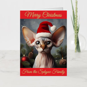 Custom Christmas Card Elf Sphynx Cat Santa