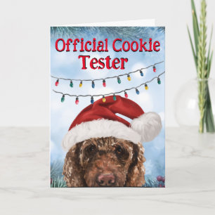 Custom Christmas card from your Chocolate Doodle