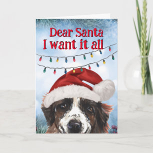 Custom Christmas card from your St Bernard