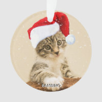 Custom Christmas Carol Cat Photo Personalised