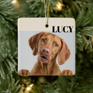 Custom Christmas Photo Ornament Dog & Name