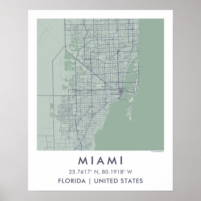 Custom City Map Miami Florida Wall Art Poster (Front)