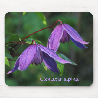 Custom Clematis Mousepad
