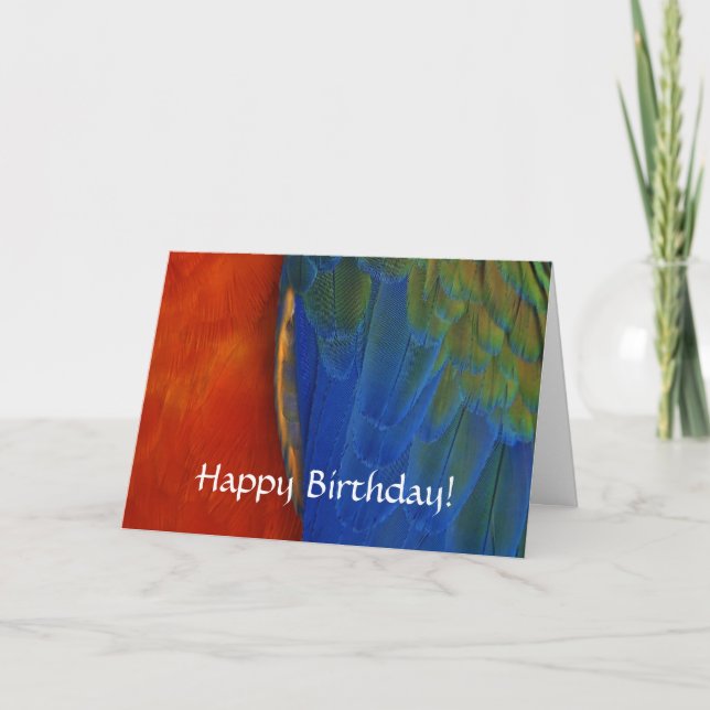 Custom Colourful Macaw Parrot Feather Birthday Card (Front)