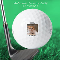 Custom Create Your Own Cat Photo Personalised