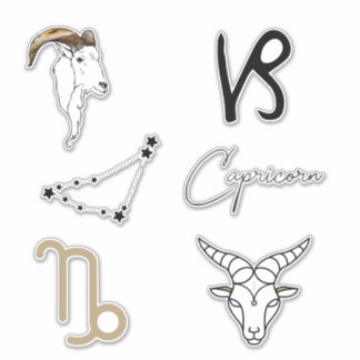 Custom-Cut Vinyl Sticker