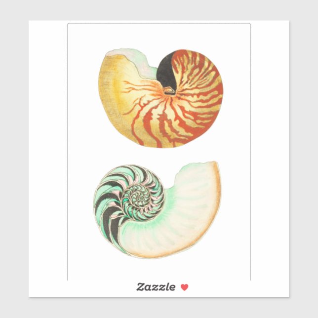 CUSTOM CUT VINYL STICKER : NAUTILUS (Sheet)