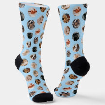 Custom Cute 8-Photo Pet Collage | Pastel Blue