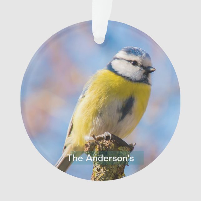 Custom Cute Blue Yellow Bird Photo Personalised Ornament (Front)
