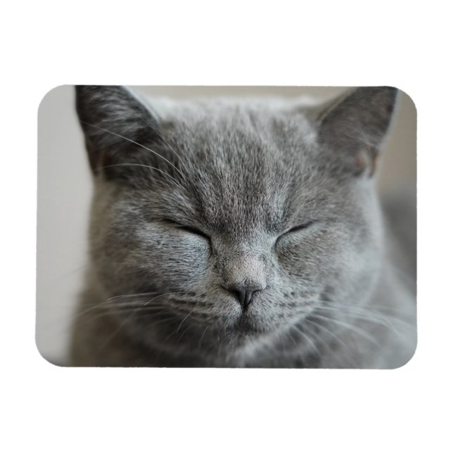 Custom Cute Grey Kitty Face Photo Magnet (Horizontal)