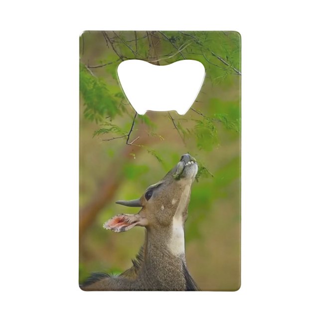 Custom deer (Front)