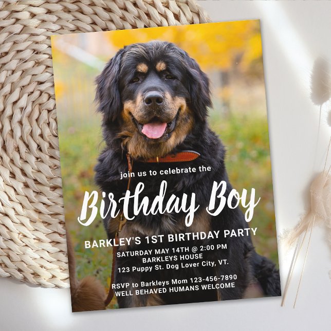 Custom Dog Birthday Pet Photo Party Invitation Postcard (Creator Uploaded)