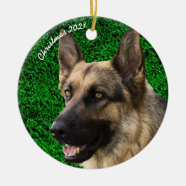 Custom Dog Cat Pet Photo Upload Image Christmas Ceramic Tree Decoration