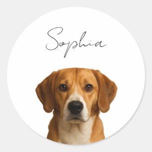 Custom Dog Christmas   Personalised Pet Photo  Classic Round Sticker
