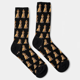 Custom Dog Face Photo Socks Golden Retriever