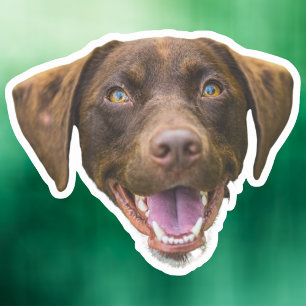 Custom Dog Face Sticker, Dog Lover Gifts, Dog Mum