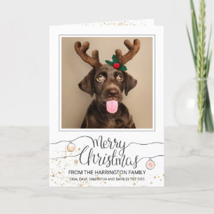 Custom Dog In Antlers Photo Christmas Holiday