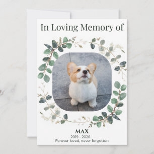 Custom Dog Memorial Photo Card In Loving Memory