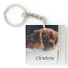 Custom Dog Pet Photo