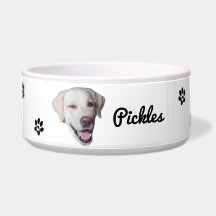 Custom Dog Photo