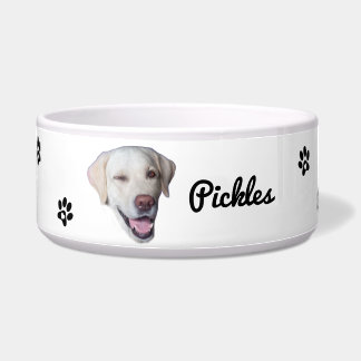 Custom Dog Photo