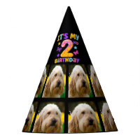 Custom Dog Photo 2nd birthday party Party Hat
