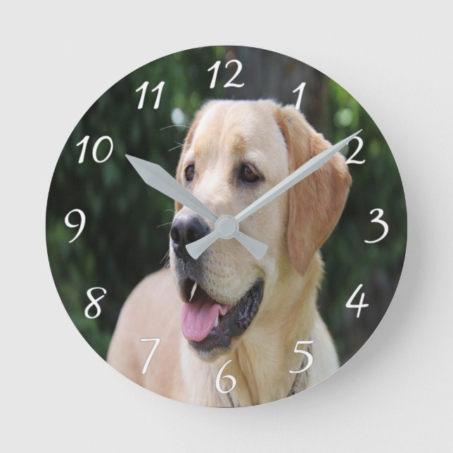 Custom Dog Photo Acrylic Wall Clock (Front)