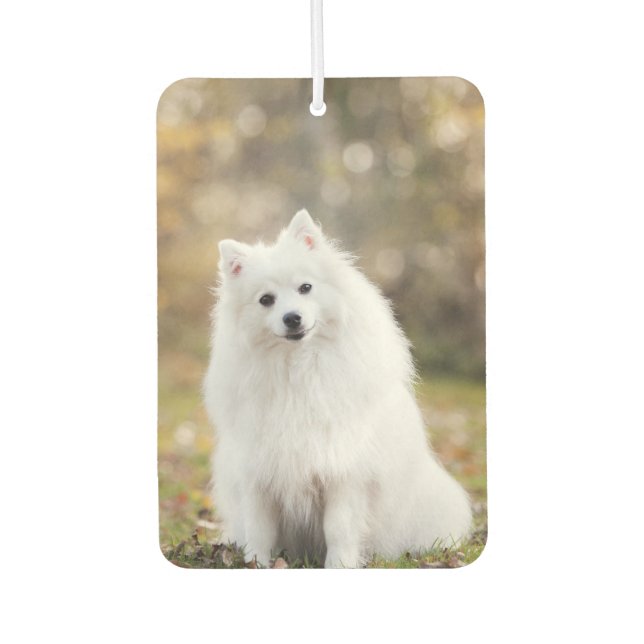 Custom Dog Photo  Car Air Freshener (Front)