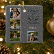 Custom Dog Photo