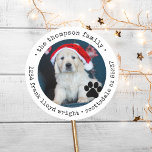 Custom Dog Photo Christmas Card Return Address Classic Round Sticker<br><div class="desc">Add a personalised touch to your holiday cards with the Custom Dog Photo Christmas Card Return Address Classic Round Sticker. Designed for pet lovers, these dog return address labels feature your favourite dog photo, paired with a cute dog paw detail, creating an adorable and unique way to seal your envelopes....</div>