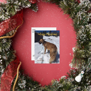 Custom Dog Photo Foil Holiday Post Card