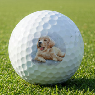 Custom Dog Photo  Golf Balls